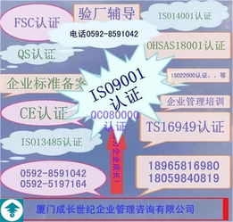 安徽ISO9001:2015精細(xì)化輔導(dǎo)咨詢 信息咨詢服務(wù)升級與體系優(yōu)化新路徑